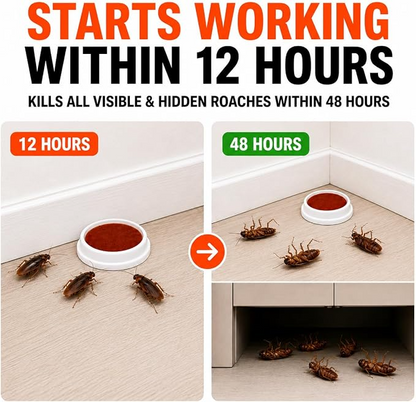 Roach Bait Stations Indoor Cockroach Repellent for Home